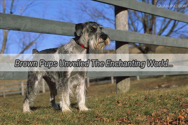 Brown Pups Unveiled The Enchanting World of Chocolate Canines